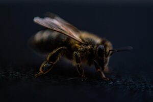 脱毛を学生が分割払いで利用するメリットは？