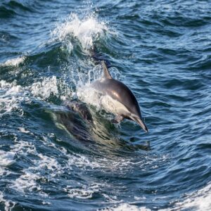 脱毛カウンセリングで知っておくべき聞くことは？