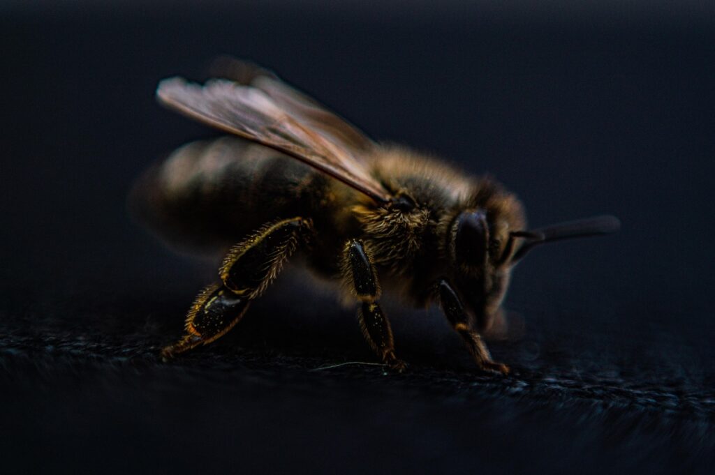 脱毛カウンセリングに必要な持ち物は何ですか？