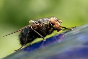 vio脱毛の2回目で本当に毛は生えてこないのか？