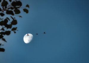 脱毛体験の効果はどのくらい実感できるの？