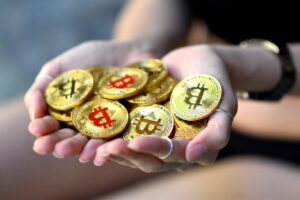 PayPayで支払いできるお店はどこですか？